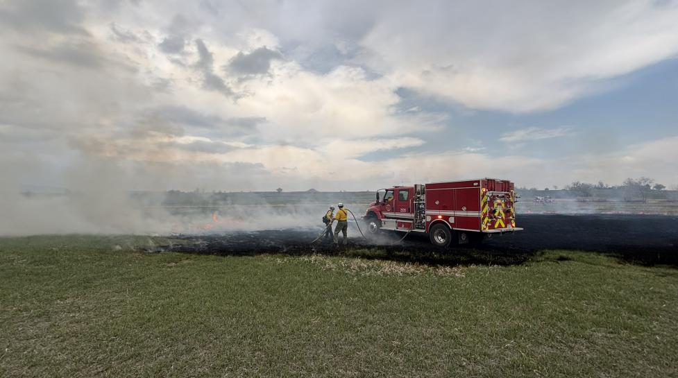 Wildfire