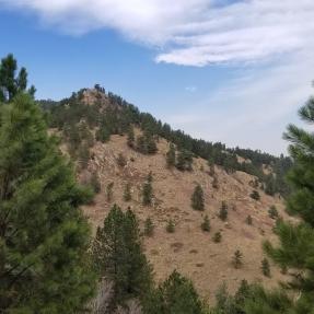 Bluebell-Baird Trail view