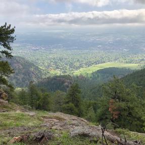 E.M. Greenman view