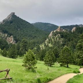 Baseline Trail in spring