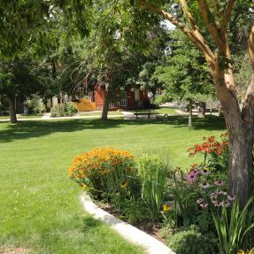 flower bed with tree and open grass lawn