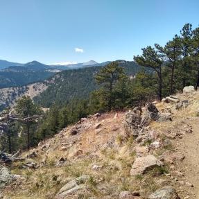 Anemone Loop Trail