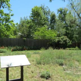Ann Armstrong Park